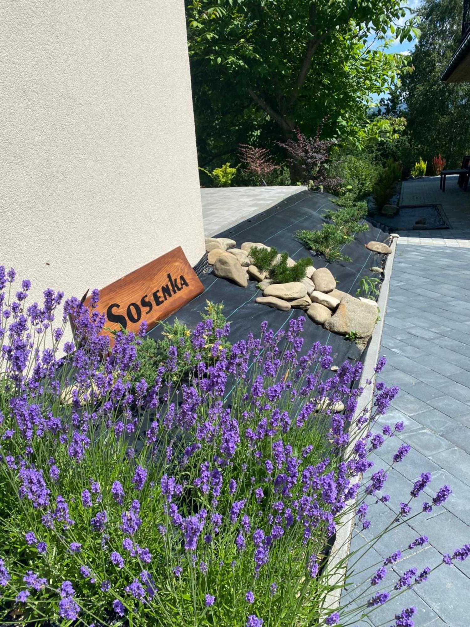 Osada Żywiec Exteriör bild